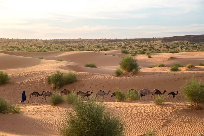 ما أجمل موريتانيا