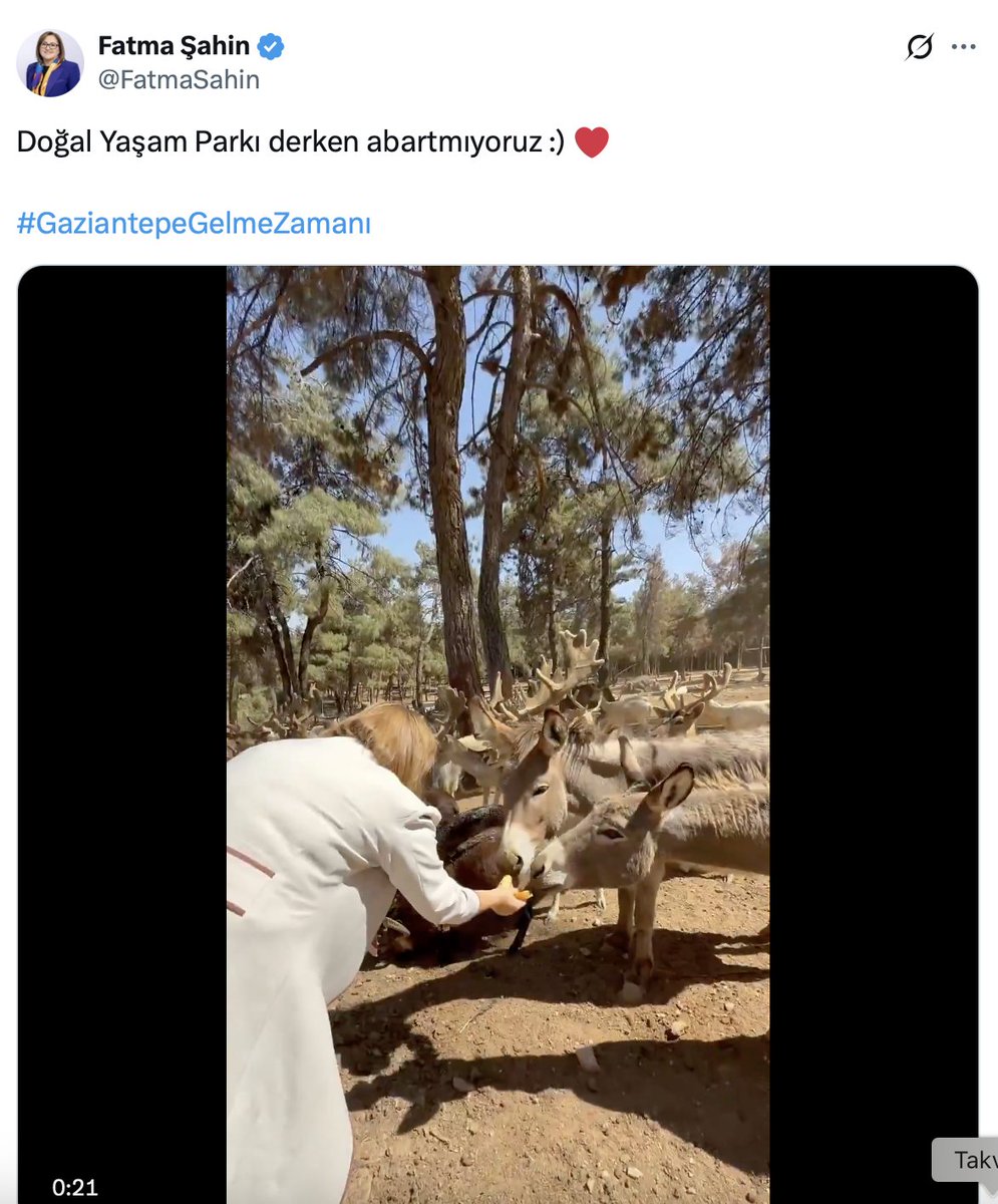 Tüm hayvanat bahçeleri kötüdür ama bazılarındaki esaret koşulları çok daha ağırdır. İşte orası <a href="/FatmaSahin/">Fatma Şahin</a> 'in "doğal yaşam alanı" dediği Gaziantep belediyesi Hayvanat bahçesi. Maymunlar dışkıları içinde yemek arıyor, ayılar elektrikli tellerden korkuyor, aç ve hasta, insan gibi