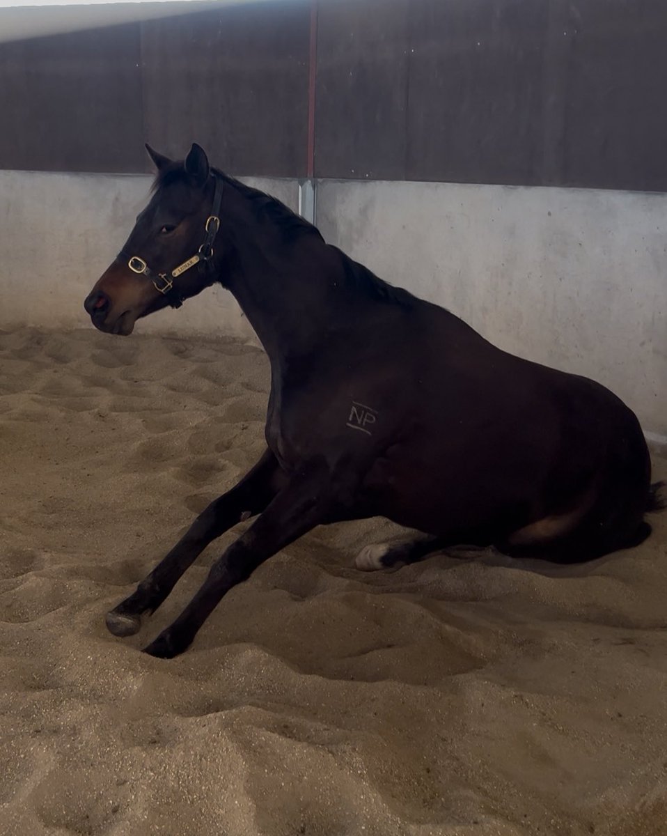 Yeah they tend to do this.