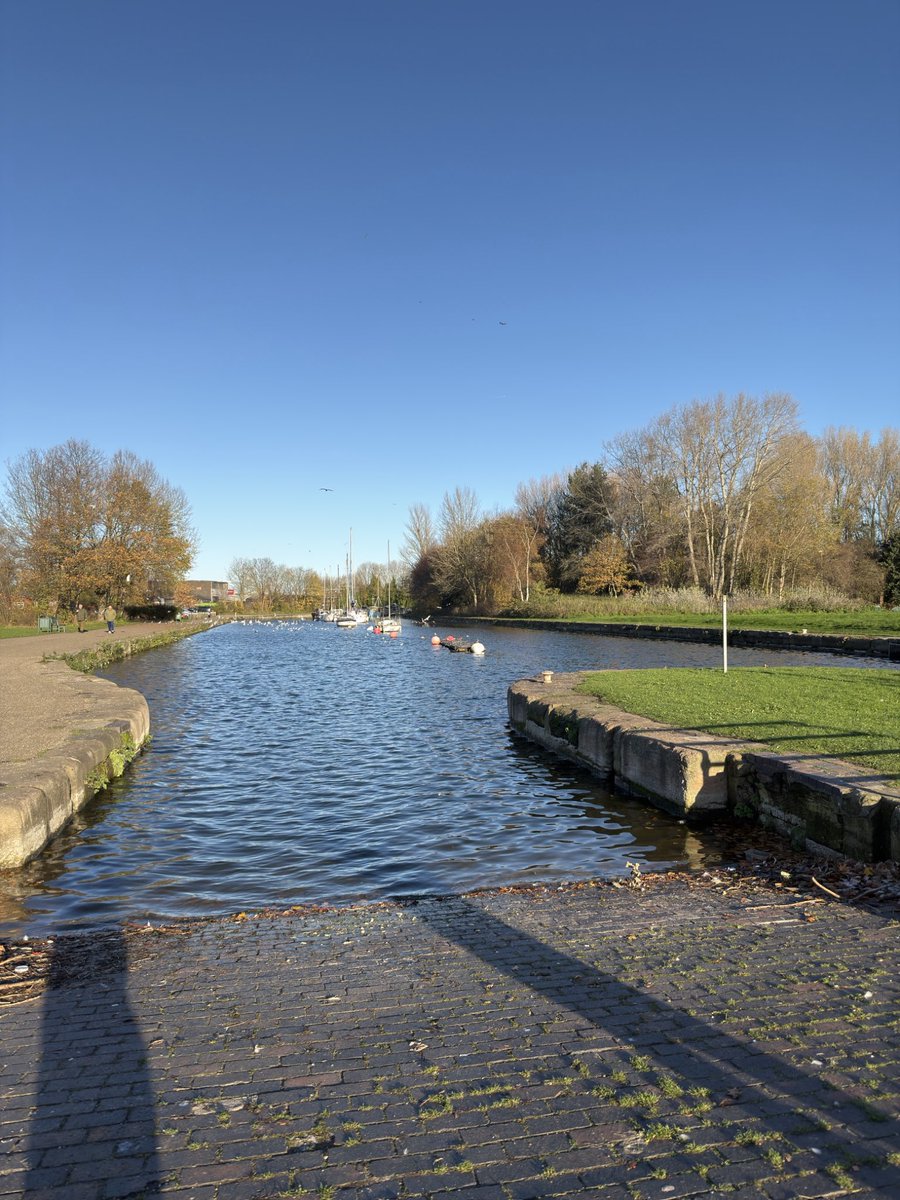 Wildlife Paul tweet media