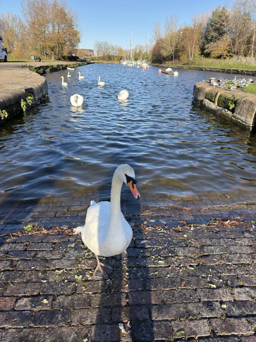 Wildlife Paul tweet media