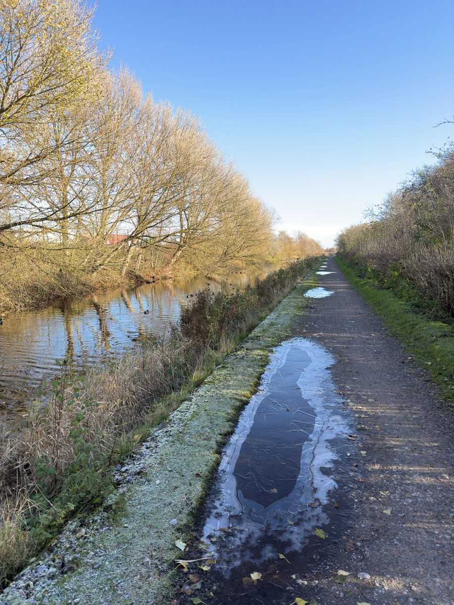 Wildlife Paul tweet media