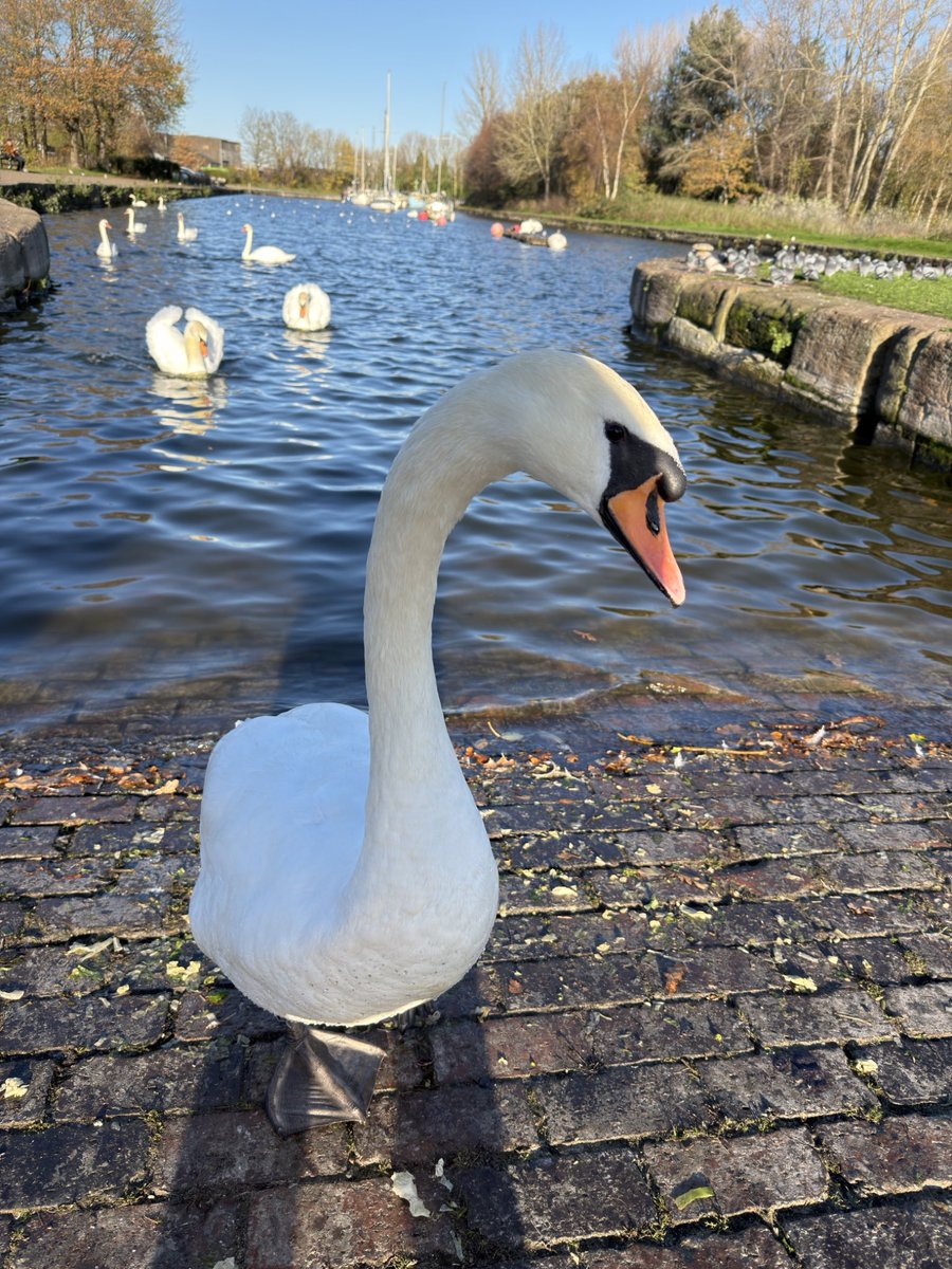 Wildlife Paul tweet media