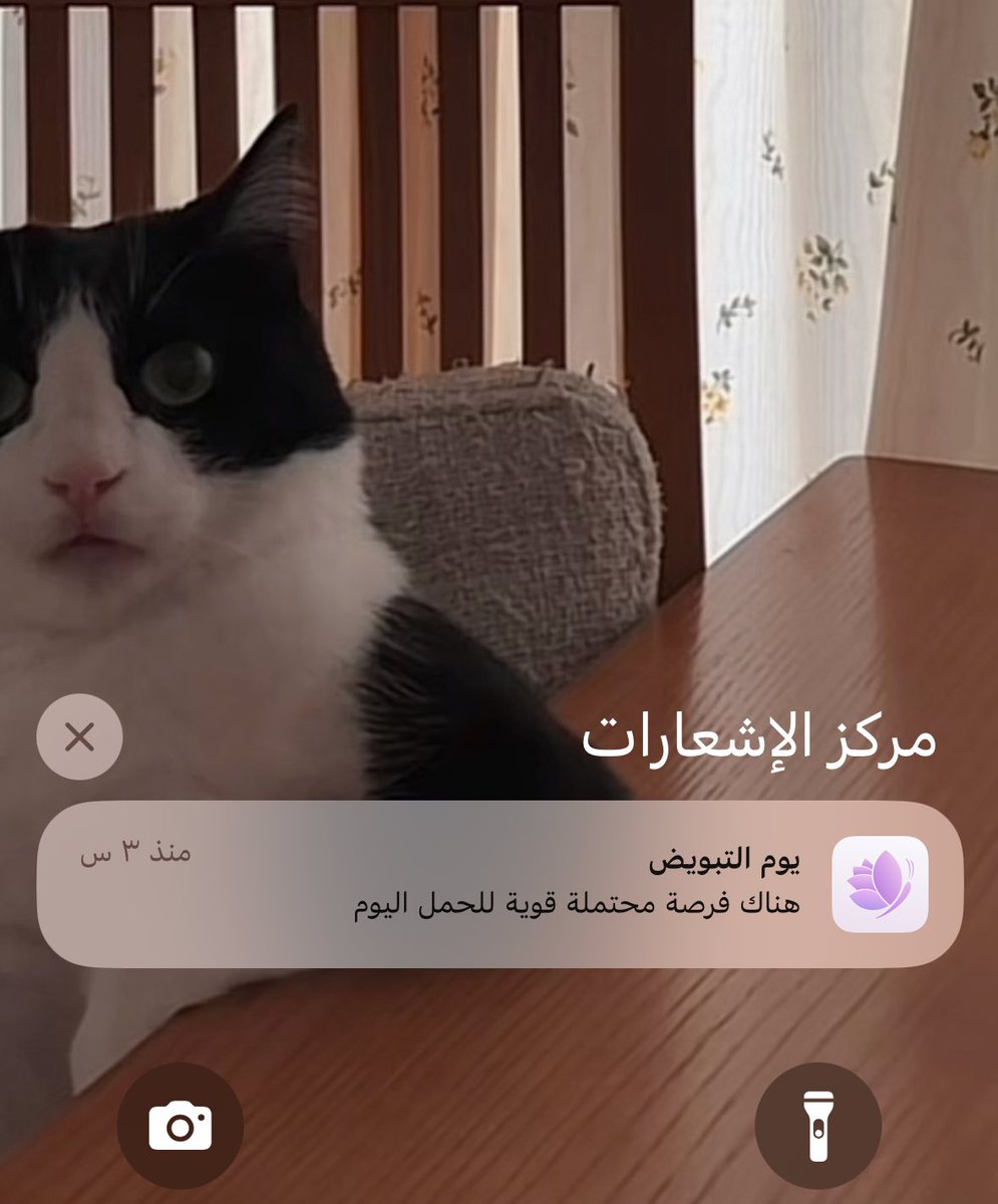 لا شكرا يا عسل ارجعي مكانك