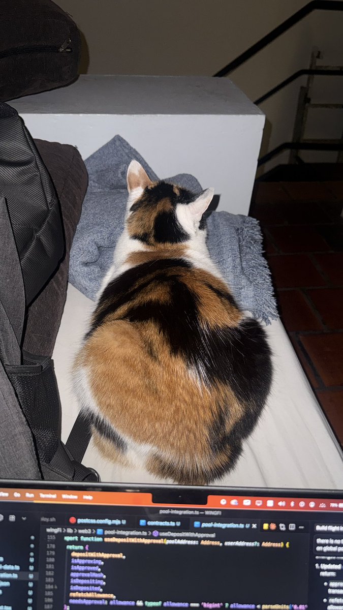 mbcse50's tweet image. I wasn’t hacking alone. Got a new friend who stayed with me and kept me company the whole night.