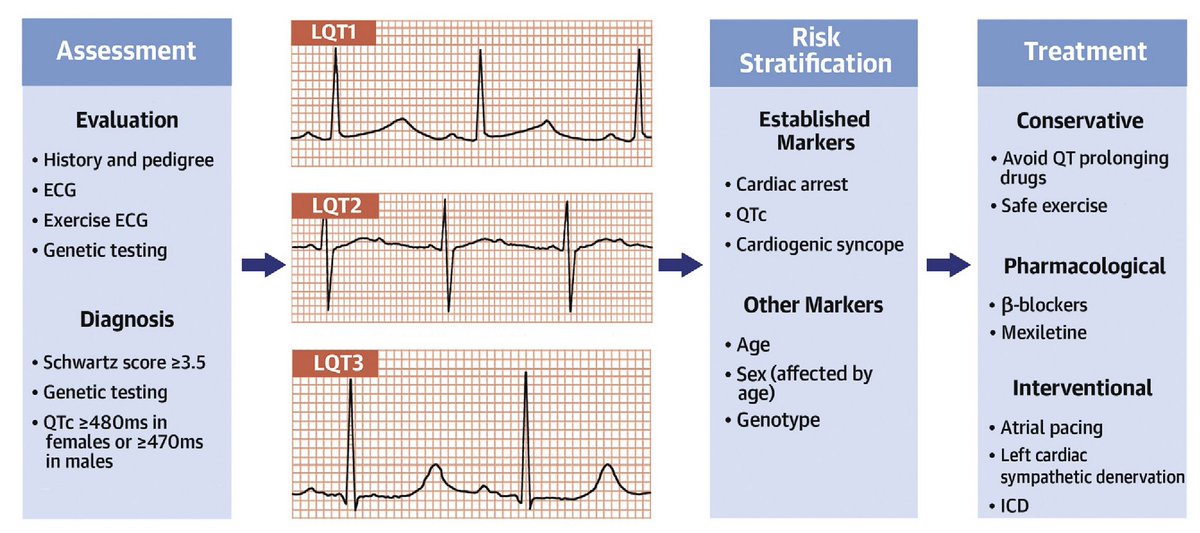 USMLEStepStudy's tweet image. Long QT Syndrome - gene variant (KCNQ1, KCNH2) affecting cardiac K+ and Na+ chanels --&amp;gt; repolarization disruption --&amp;gt; long QT int; Triggers: LQT1: Sympathetic emotional/physical exertion, LQT2: Sudden noises, hypokalemia, QT-prolonging drugs, postpartum sleep disruption