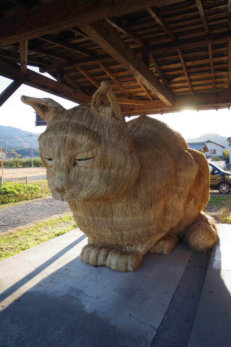 ねこみみ imgrc0118324522.jpg