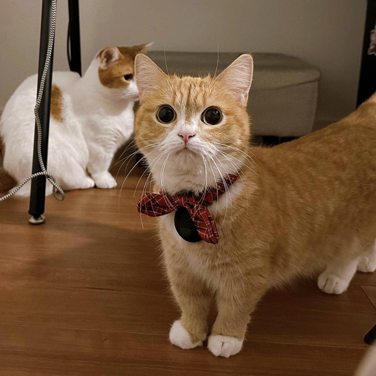 も&もちもな (@m____o) / Posts / X