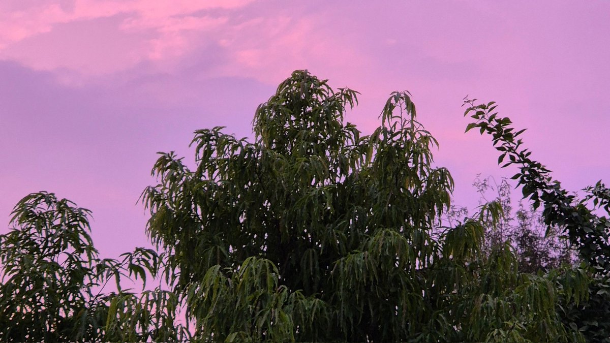 poohthebear0's tweet image. when the sky had colours