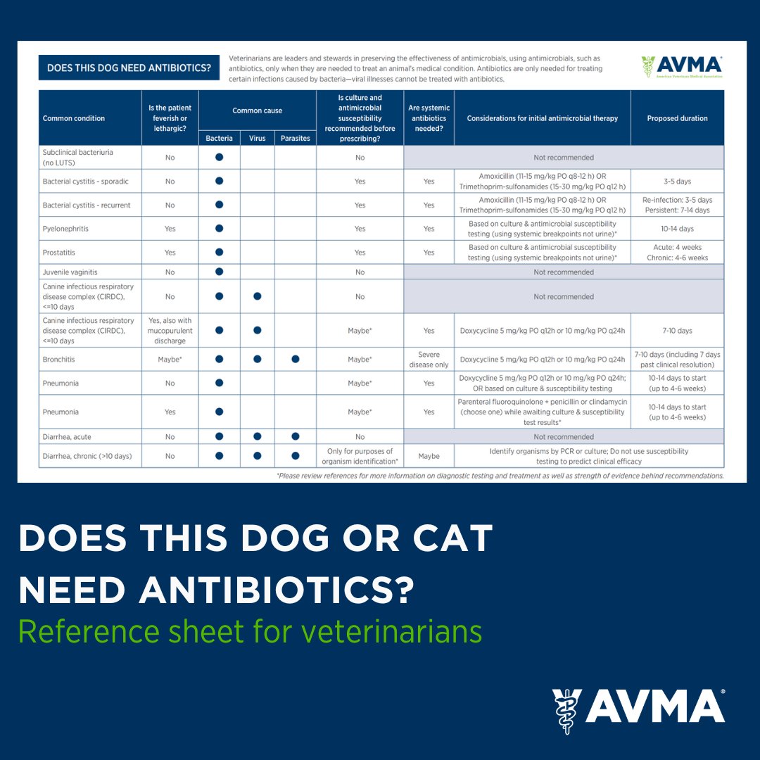 AVMAvets's tweet image. AVMA members - We&apos;ve developed these helpful reference sheets to help support your team&apos;s judicious use of antibiotics in dogs or cats.

There&apos;s no better time to download and print them off than during U.S. Antibiotics Awareness Week! Get yours at: bit.ly/3Lb7Cjo