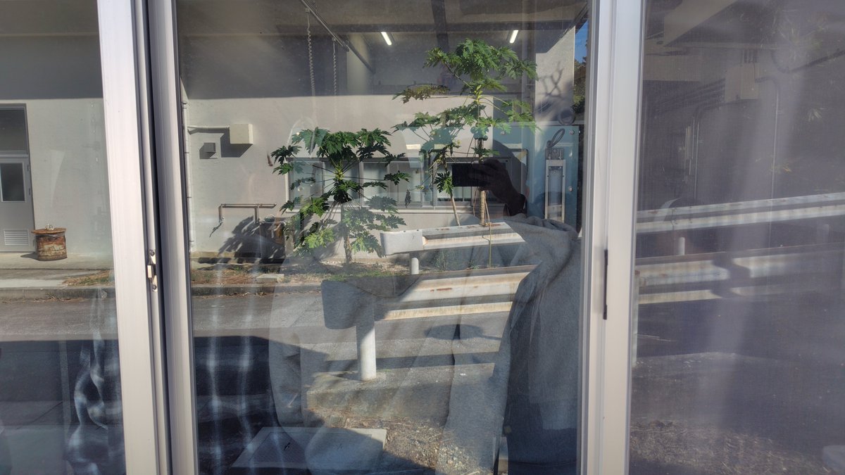 SCL_Ryukyu's tweet image. 機械工学実験IIの実験日。屋外にある シルビアのマフラーへの配管接続部から排気漏れがあったが 対策は功を奏した様子