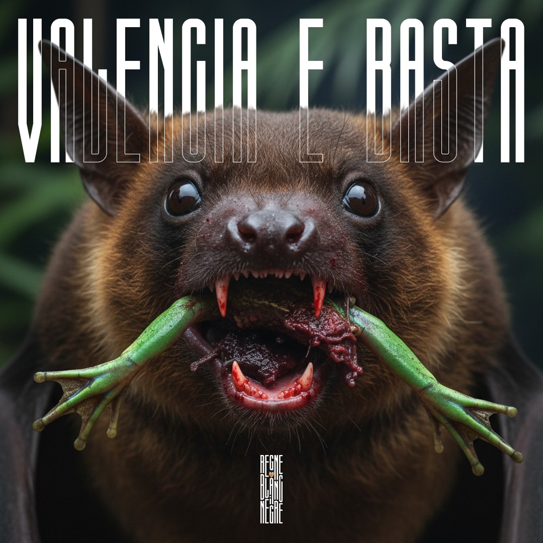 Un reino, una ciudad, una bandera, unos colores, un himno, una historia, un símbolo, un ideal, un estadio, una afición, en nuestra tierra un solo club...

VALENCIA E BASTA

⚒️🦇📢

#RegneBlancNegre