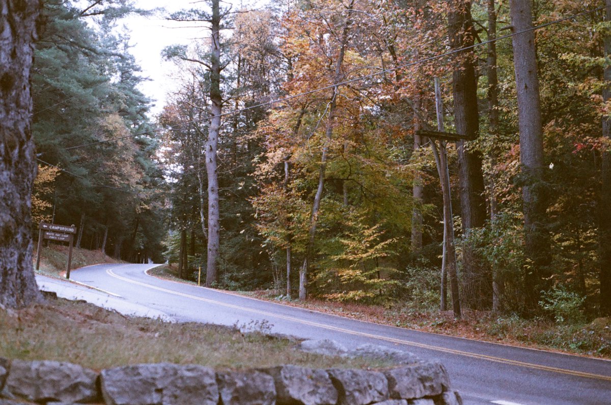 SimulationRot's tweet image. 