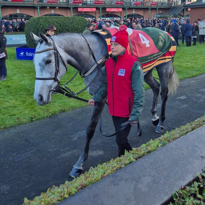 Road To Cheltenham tweet media