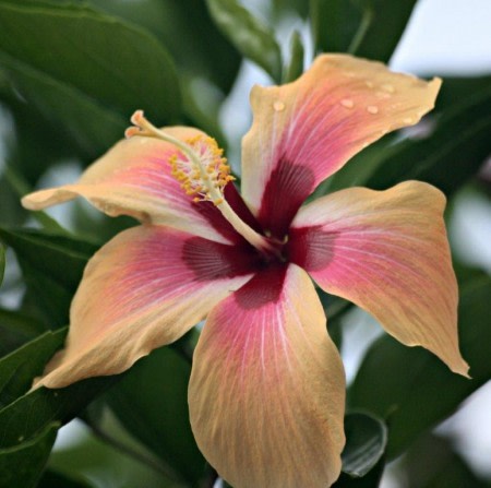 CompassandFork's tweet image. What You Need to Know to Stay Healthy on Your Trip bit.ly/2ukHclm #traveltips #ttot