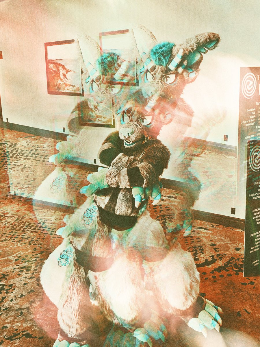 🪲Alex 🔜 FCL tweet media