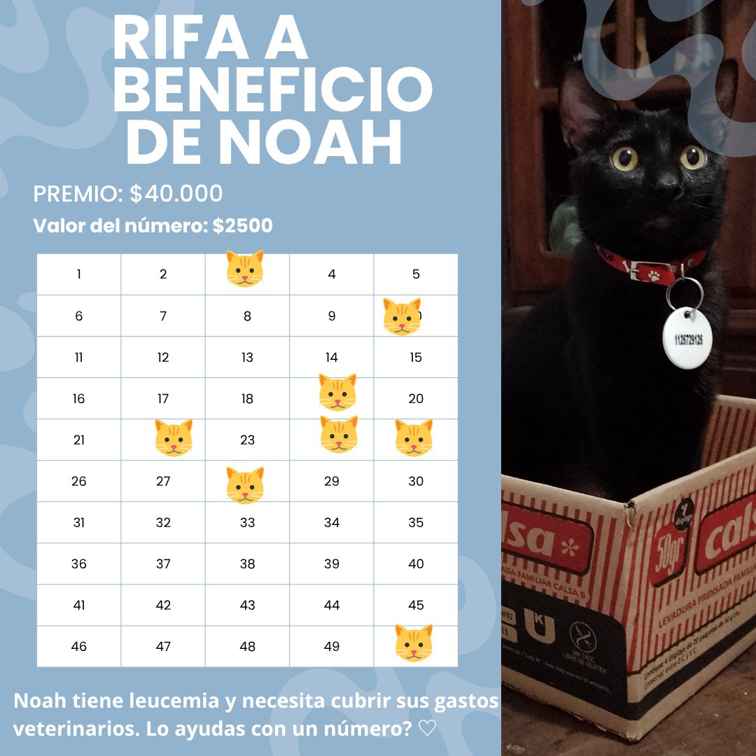 jonithirlx's tweet image. preguntale a tu hermano si no quiere comprar un número para mi gatito 😅