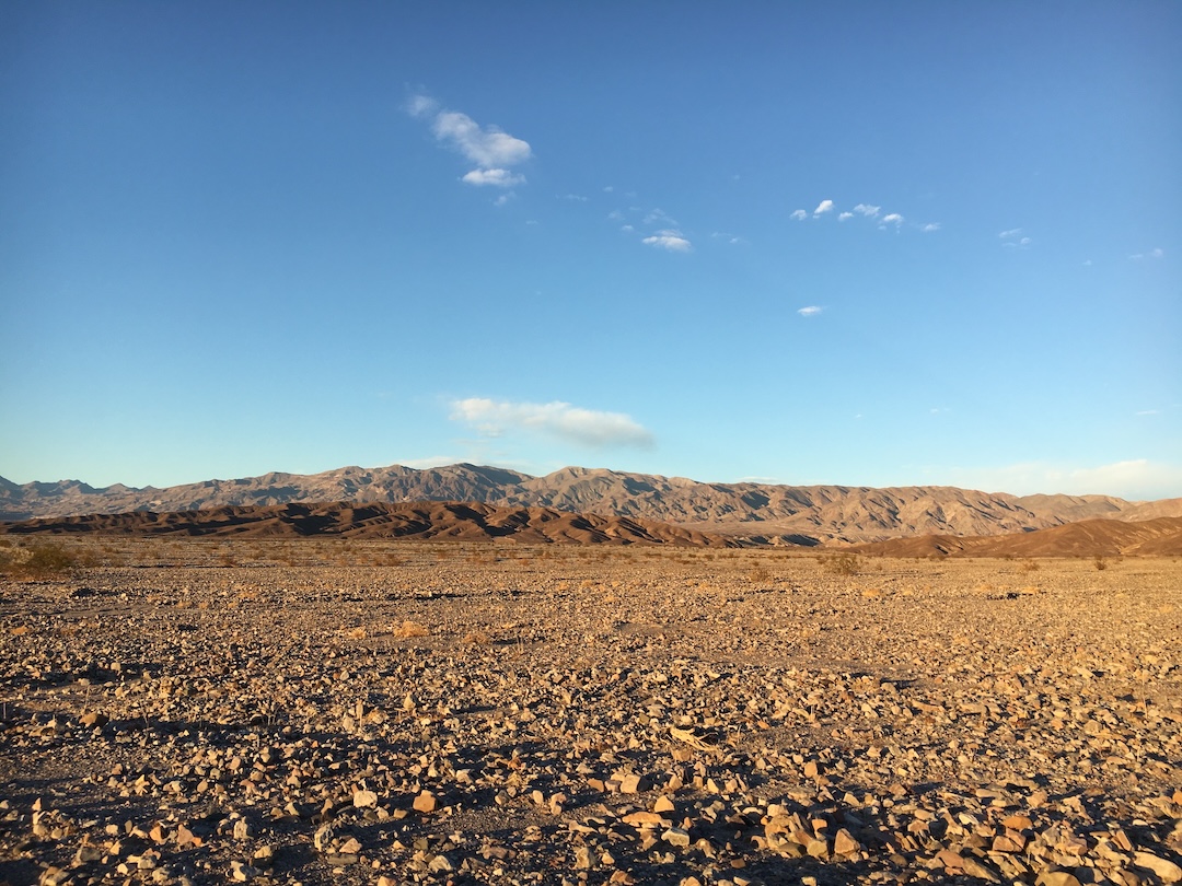 MSU_PRI's tweet image. Among the cracked earth and blinding sunlight of California&apos;s Death Valley, one native plant not only survives — it thrives.

Read the story of how this plant helped @michiganstateu scientists reveal a blueprint for engineering heat-resilient crops: msutoday.msu.edu/news/2025/11/p…