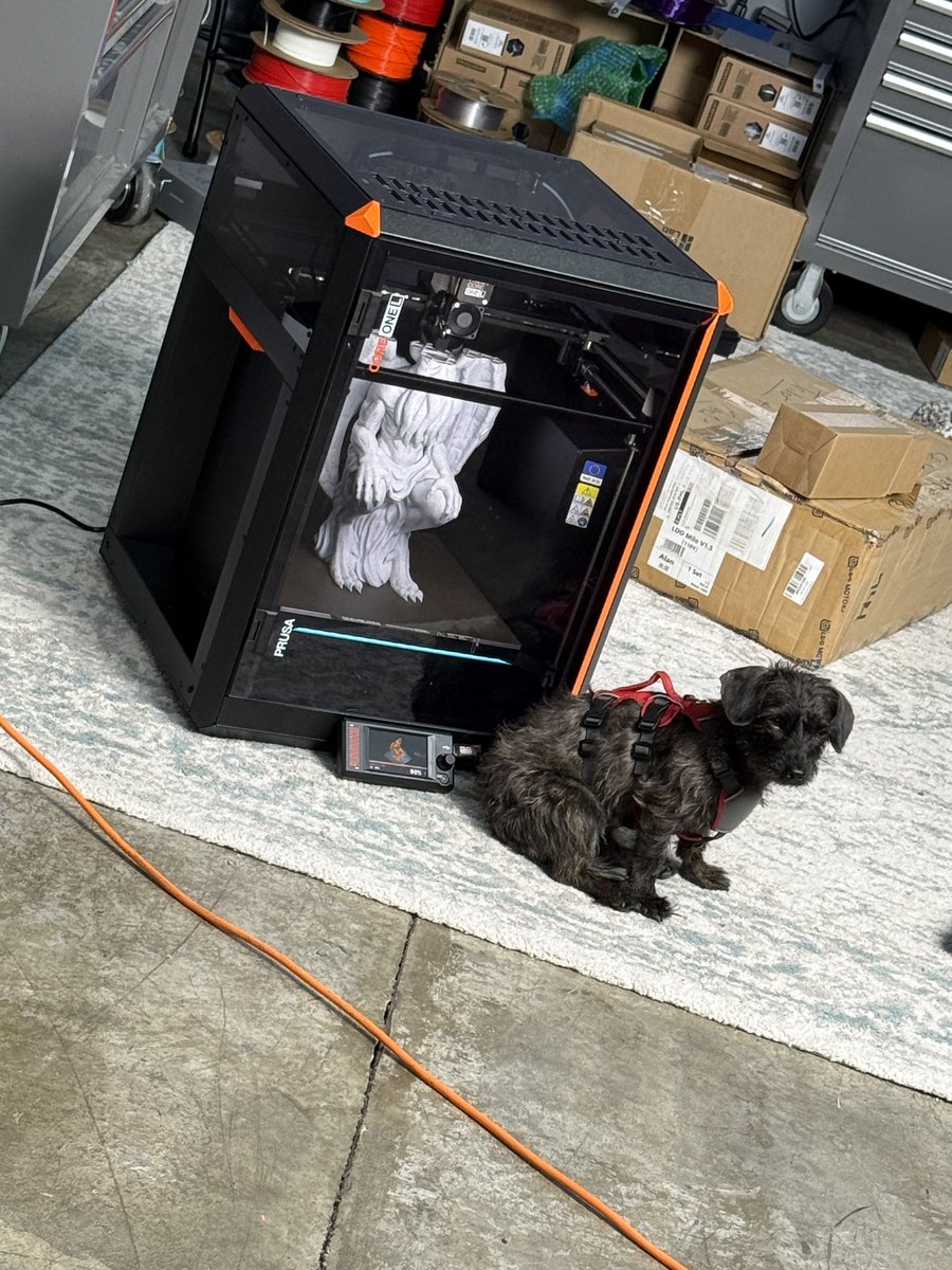 Alan Mandic tweet media