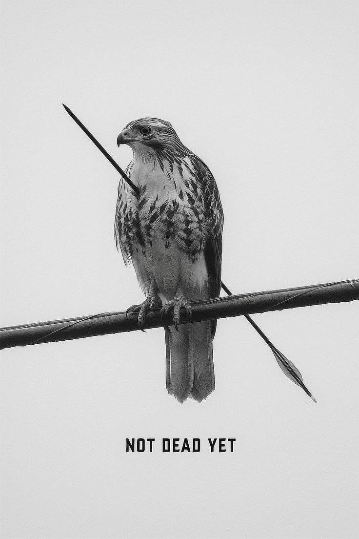 PProffity's tweet image. we are still here 🫡
remain $unbroken