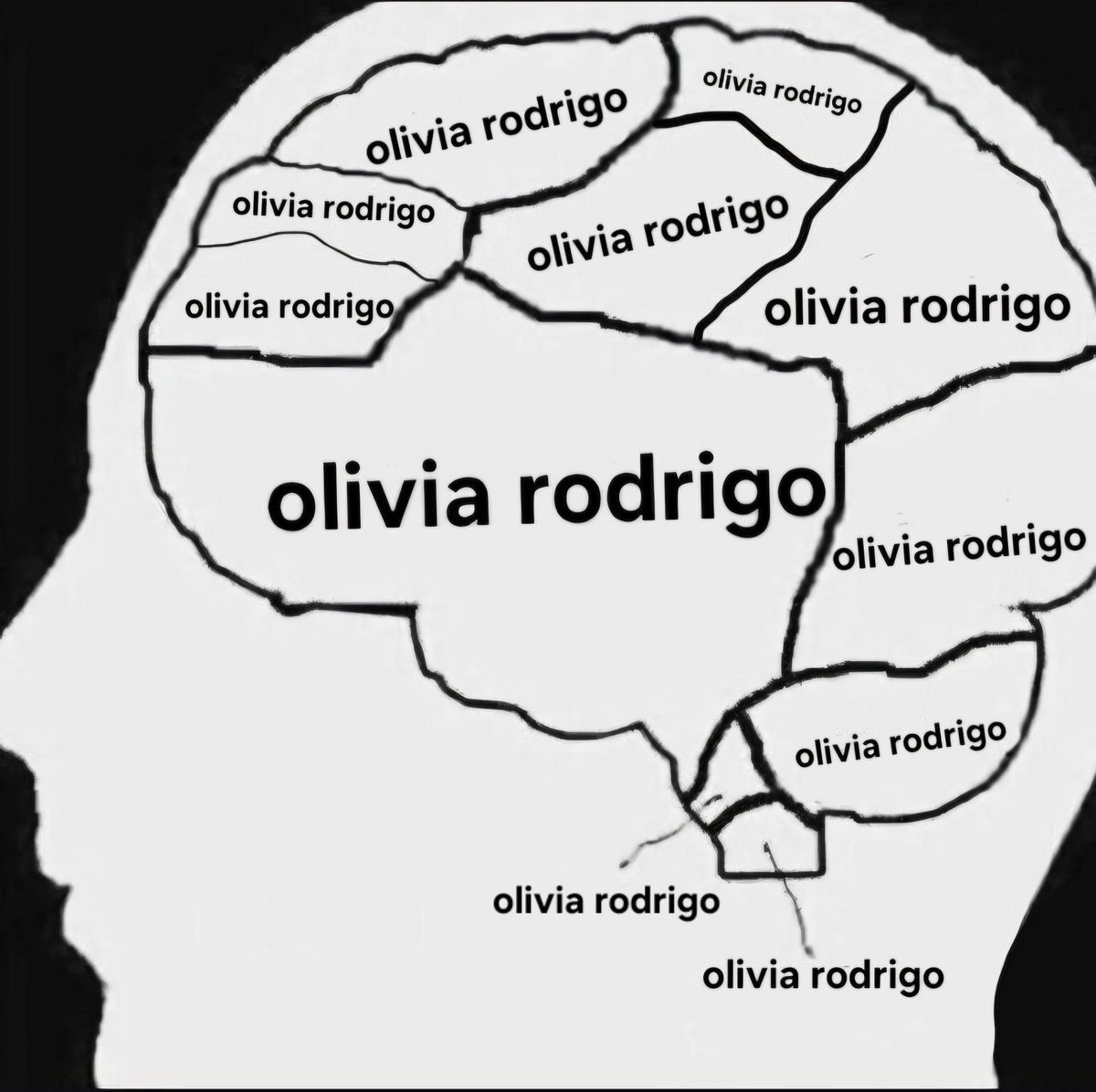 riskliv's tweet image. this is what the inside of my brain looks like