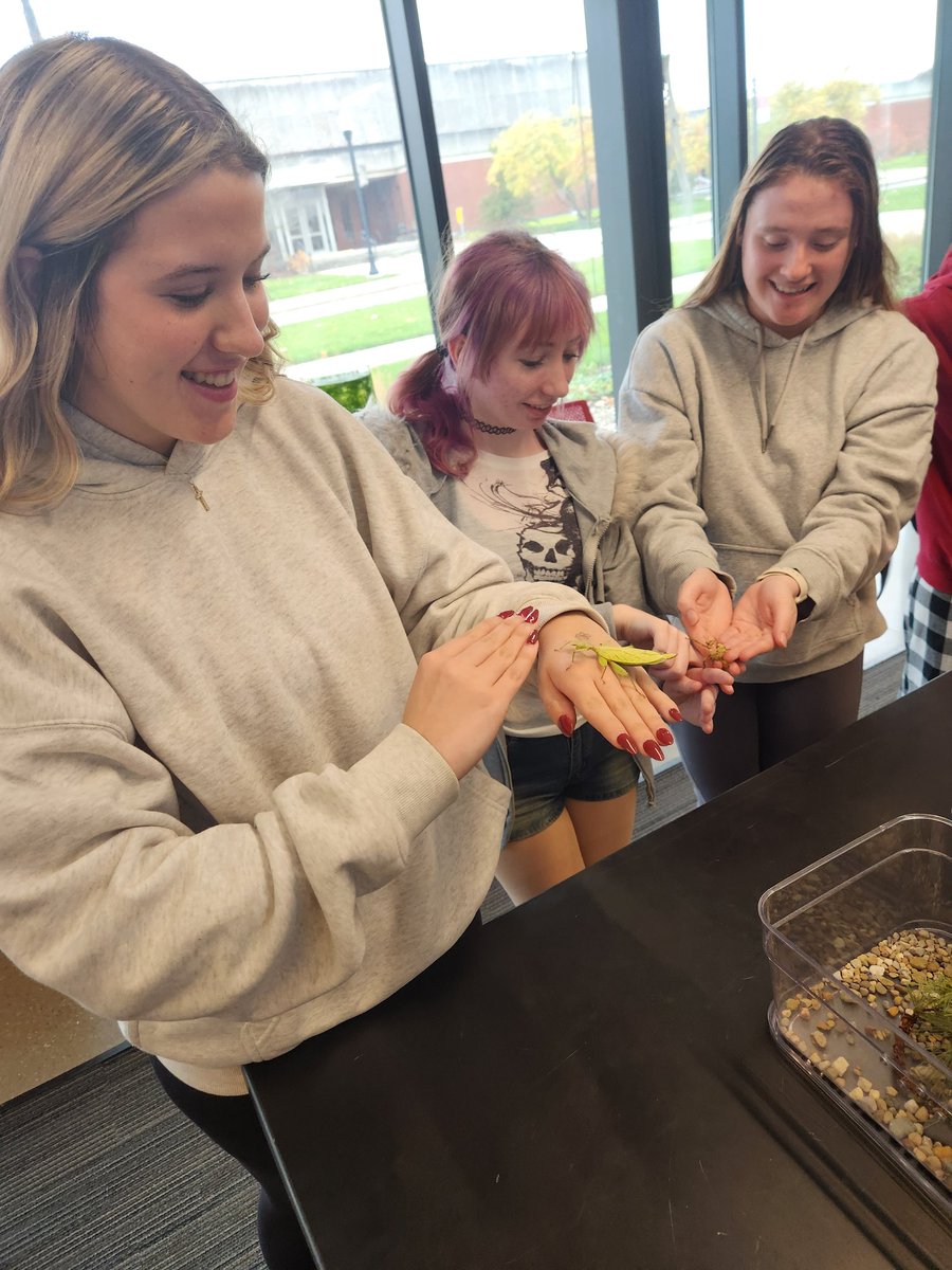 Mrs Jones tweet media