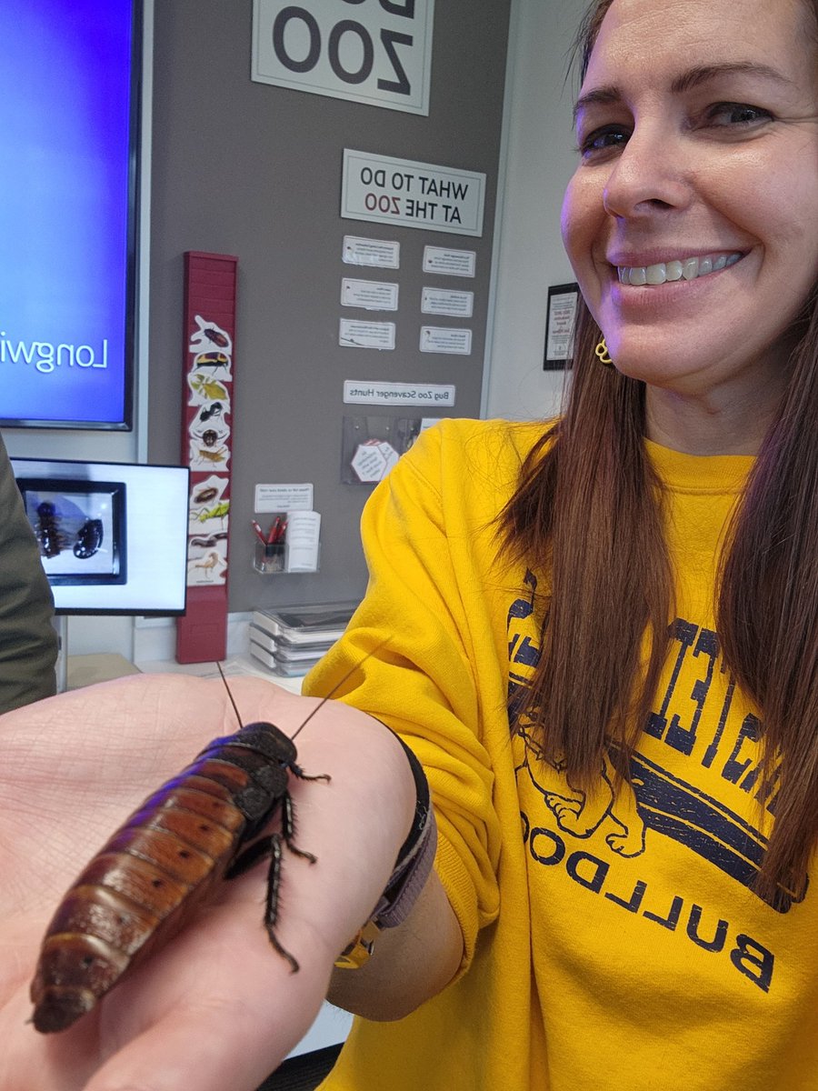 Mrs Jones tweet media