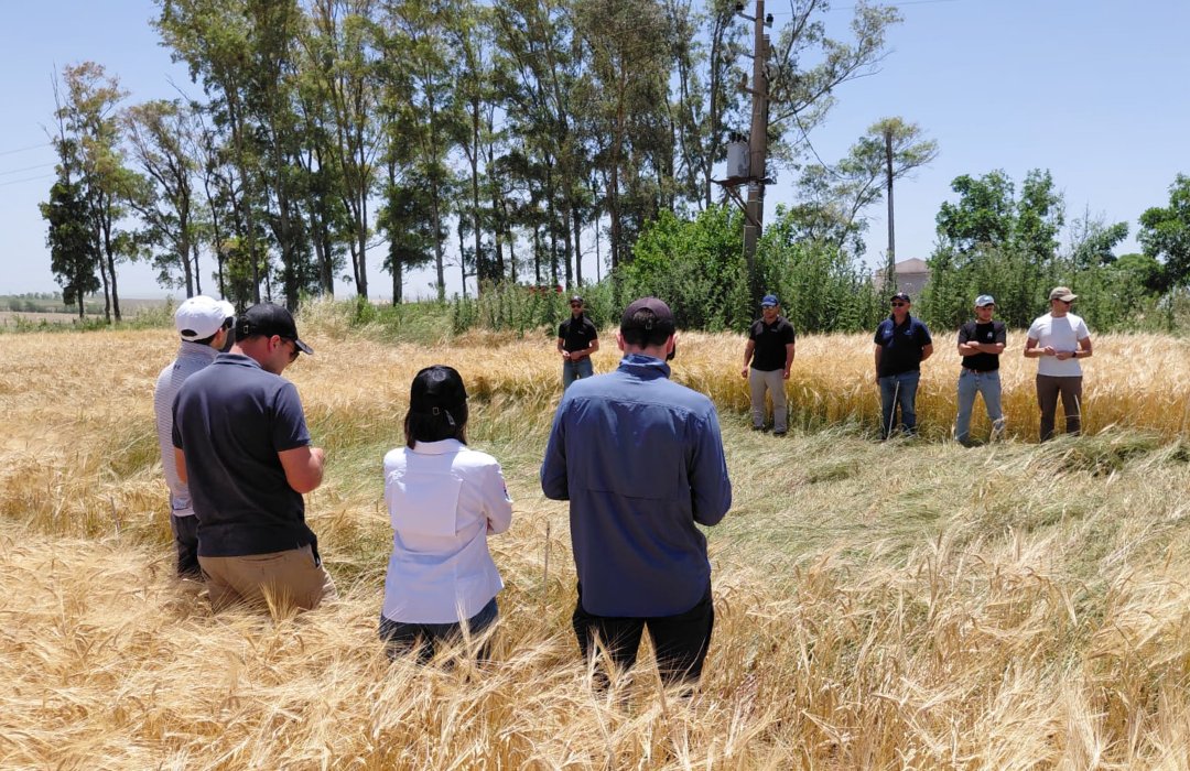 Syngenta Uruguay tweet media