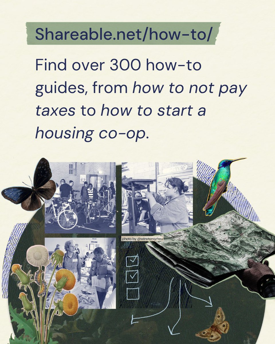 Shareable's tweet image. 🚨🚨We have an exciting update!!! 🚨🚨 Shareable has launched our new and improved website!

We highlight our sharing resources, stories, and much more on Shareable.net.  What’s new?
🦋Our layout &amp;amp; design
🦋Easy access to resources &amp;amp; toolkits
🦋Focus on our current work