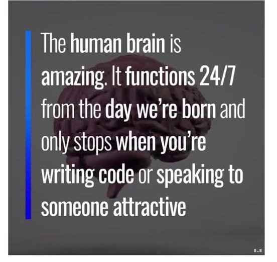 0xMajinSensei's tweet image. #programmingmemes