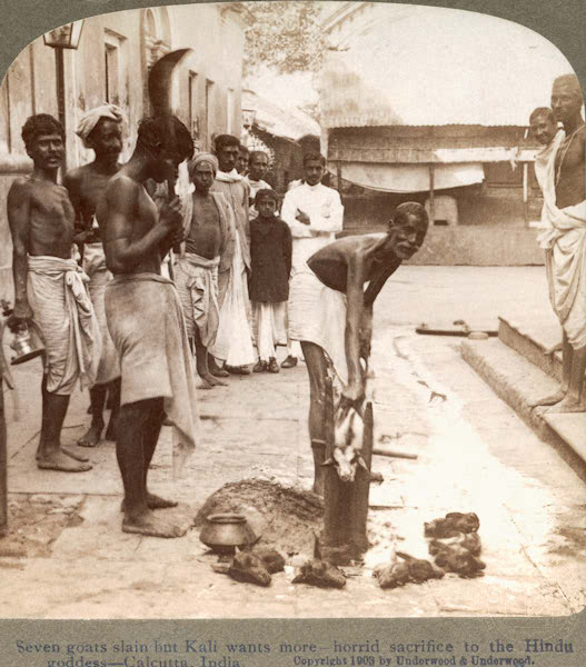 singlemaltmaxer's tweet image. Revive Jhatka in NW.