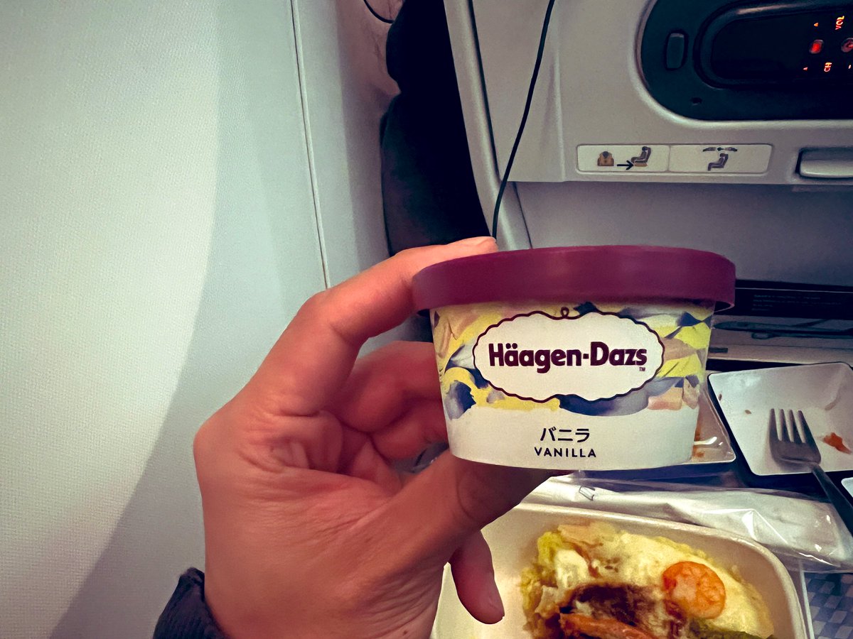 久しぶりのマイルを使ったANAでのフライトでしたが、機内食も美味しいし、ハーゲンダッツもあるし、映画も観れるから最高でした。

ただ、やはり5時間超えたくらいからエコノミーだとキツイですね。。

これから7〜8時間以上のフライトは頑張ってビジネスで行こうと決めました。