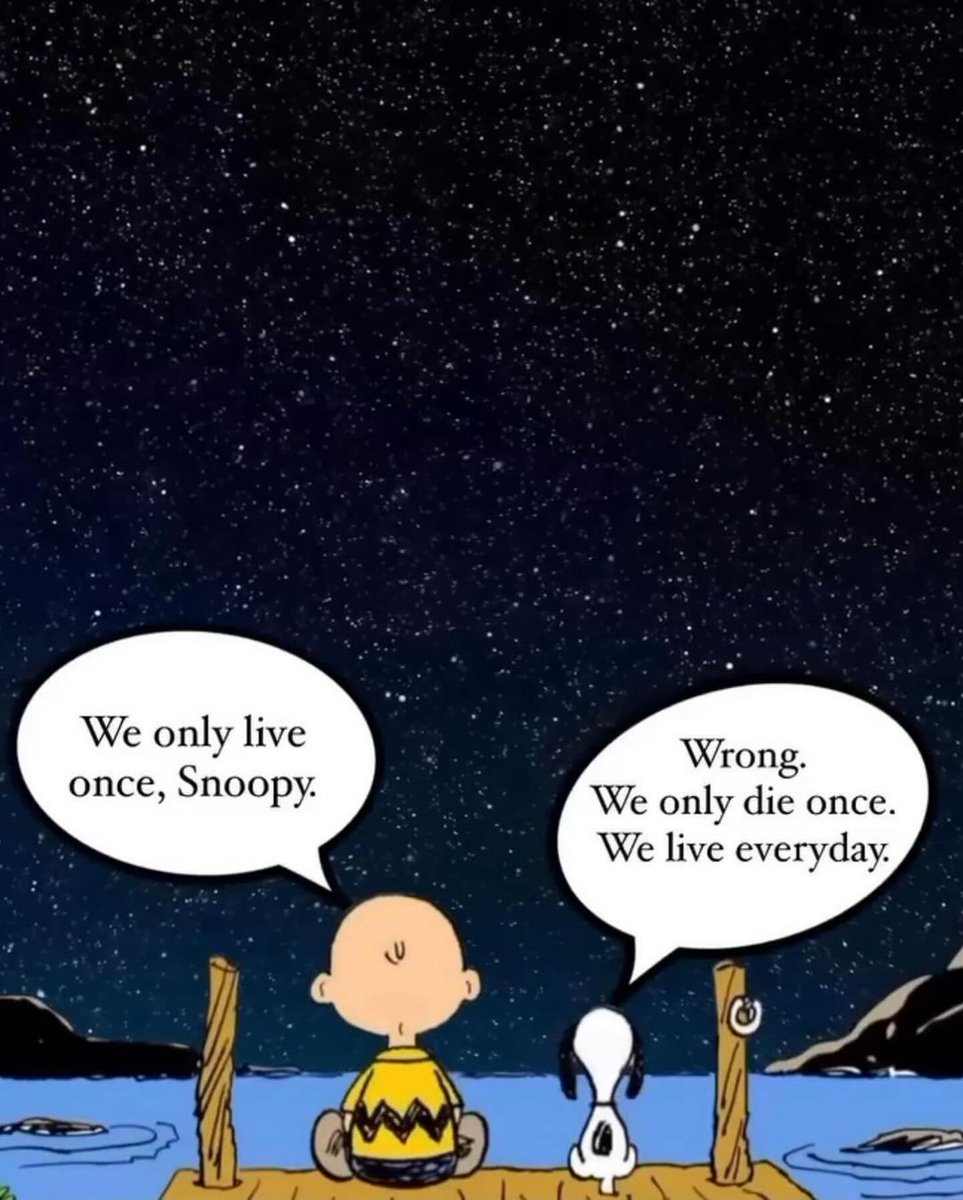 Lutra_Gaming's tweet image. 