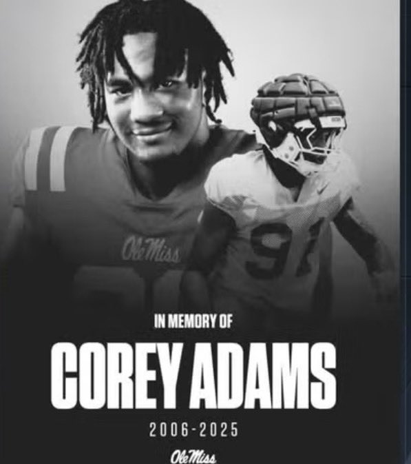 RebsOnTop🇹🇹 tweet media