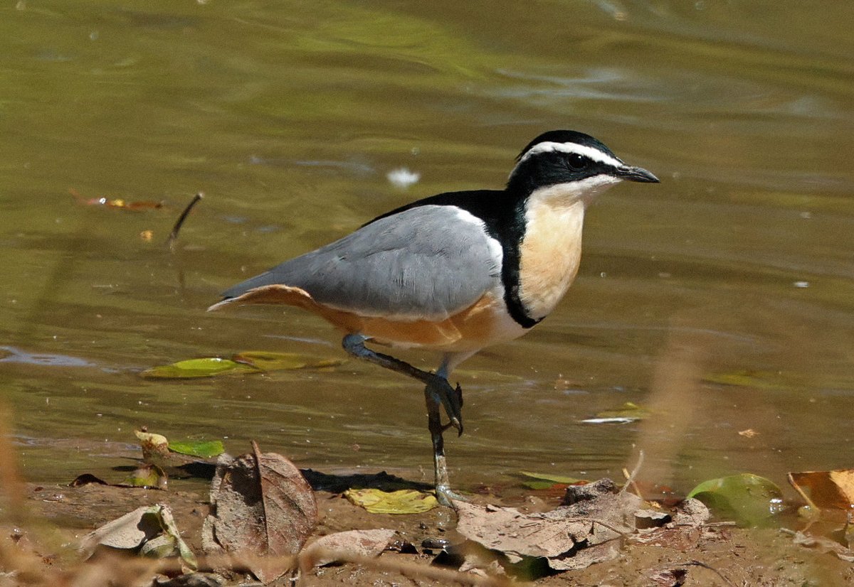 Natural Newbiggin tweet media