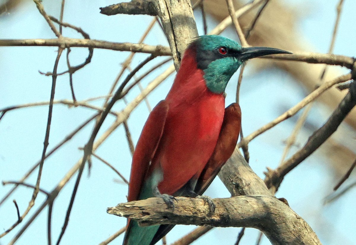 Natural Newbiggin tweet media