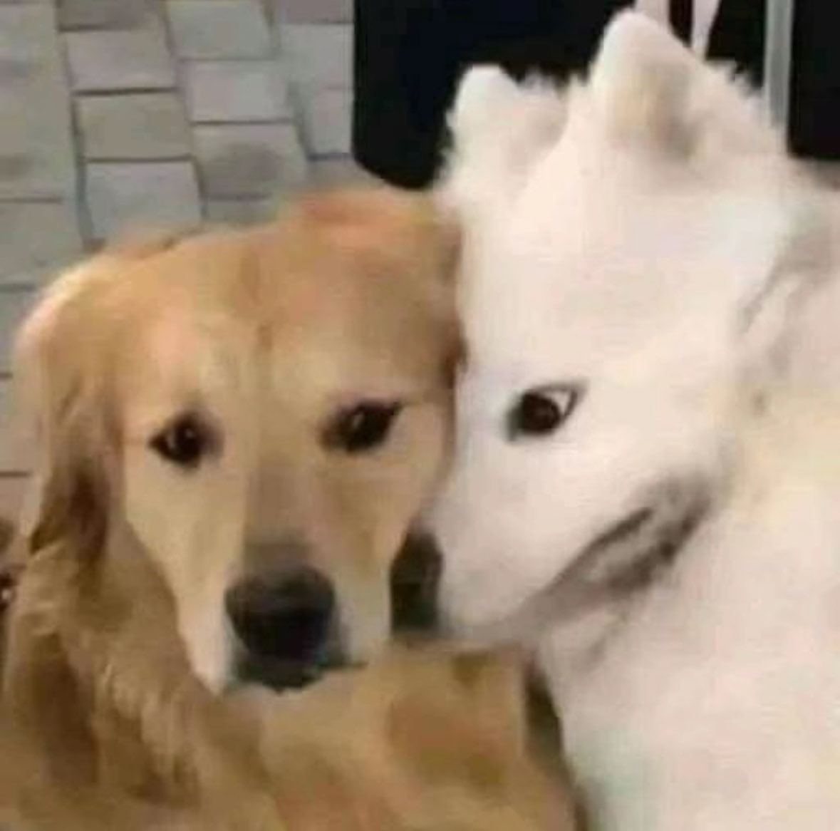 myroomiscold tweet media