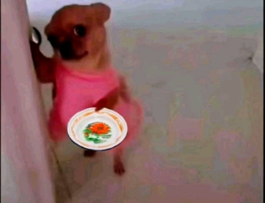 AsandaJoseph6's tweet image. Sondeza i plate phela mamas