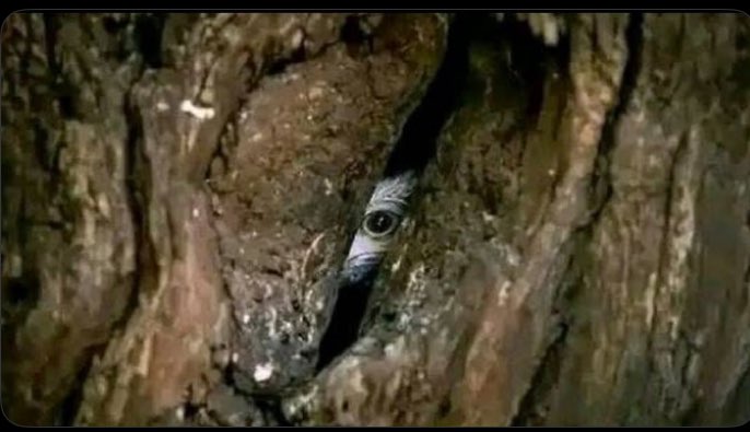 Infections seeing you trust your withdrawal game 😭🤦‍♂️