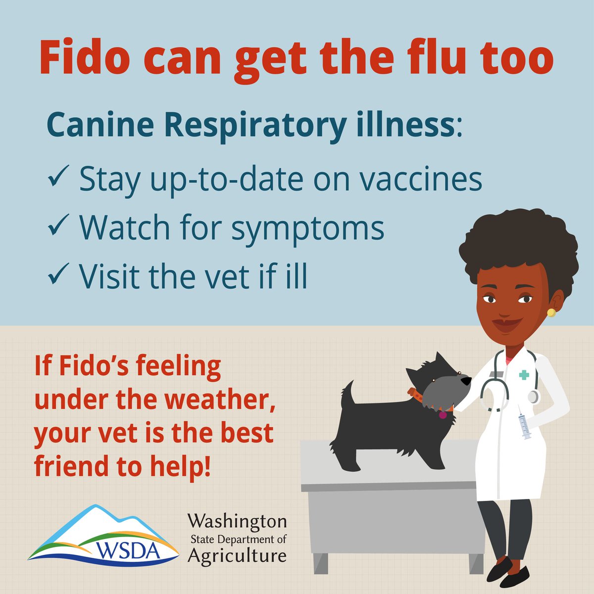 WSDAgov's tweet image. 🐶💉 Keep your pup protected!
Respiratory illnesses like kennel cough &amp;amp; canine flu spread fast at parks or boarding spots. Vaccines help prevent them—and keep tails wagging.

Talk to your vet today! 🐾 #DogHealth #PetCare