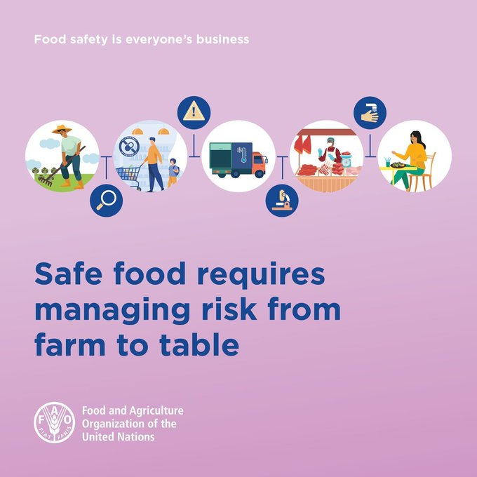 FAOWHOCodex's tweet image. 📝 | At any point in the supply chain, contaminated soil, water and air can make food unsafe. 

👉 It is also important to observe good hygiene practices when handling food - from the farm to the table.

#Codex | #FoodSafety