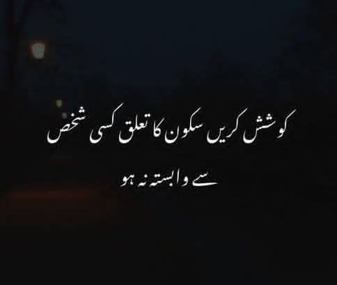 کام سب غیر ضروری ہیں __جو سب کرتے ہیں
اور ہم کچھ نہیں کرتے ہیں __غضب کرتے ہیں

آپ کی نظروں میں سورج کی ہے جتنی عظمت
ہم چراغوں کا بھی __اتنا ہی ادب کرتے ہیں