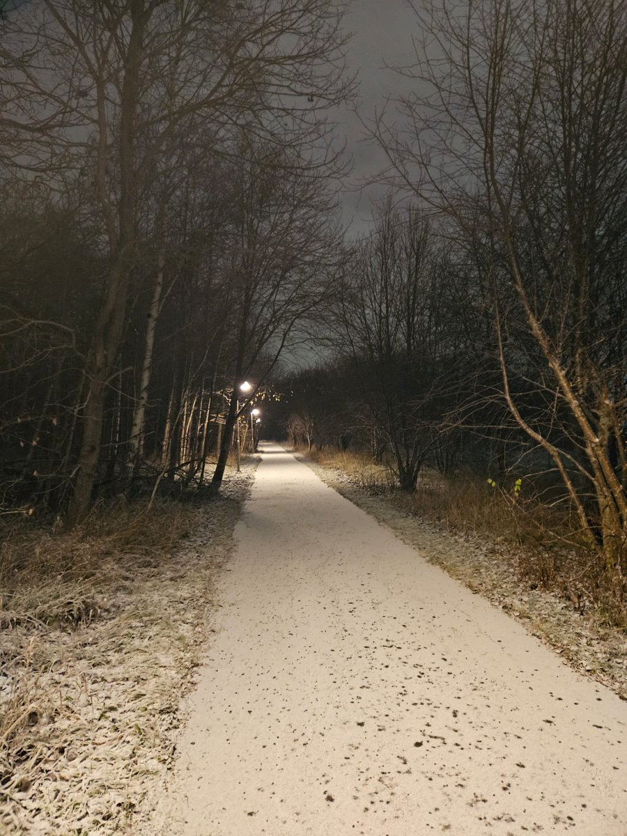 fesh__a's tweet image. 