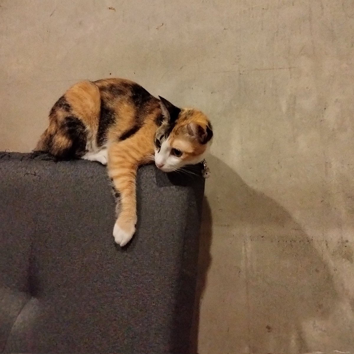 𝙘𝙝_ (@rxchzzk) on Twitter photo 