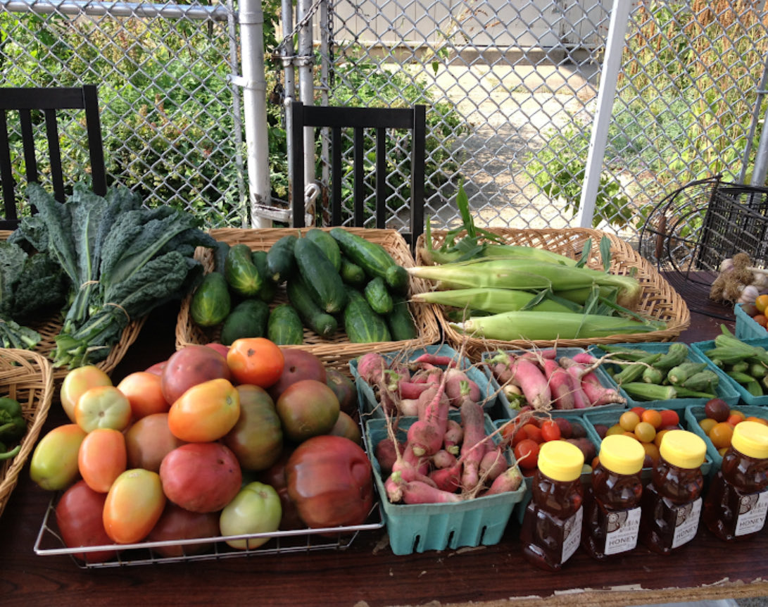 Open City tweet media