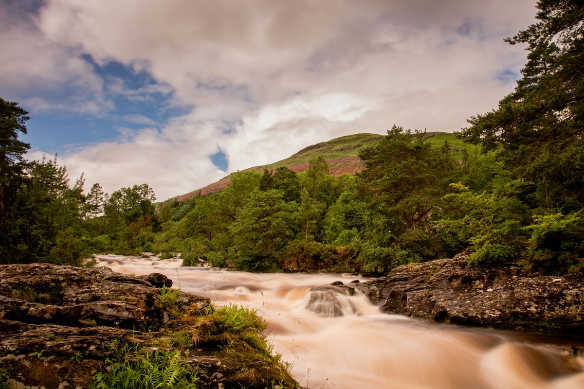 Scottish Tours tweet media