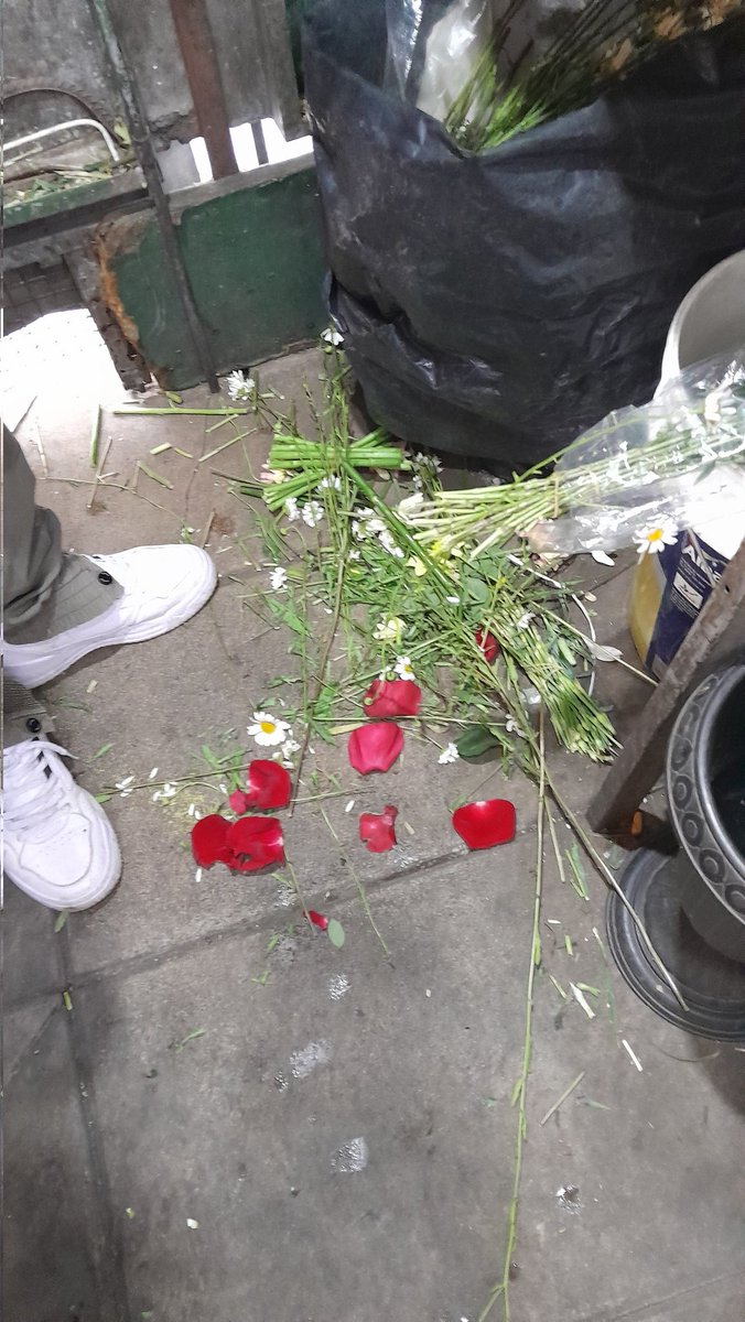 rociomiobosque's tweet image. I think of you • @https_raimoraes