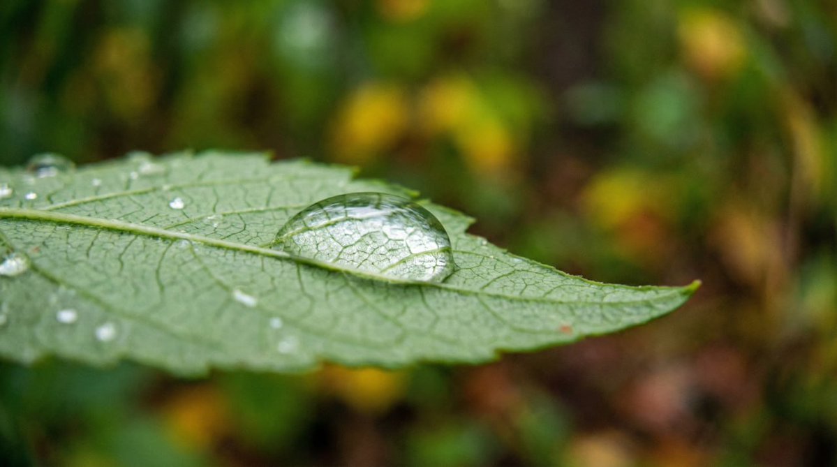 higgsfield_ai's tweet image. Nano Banana Pro&apos;s HIGH Quality capabilties! 🧩

For the next 72 hours ONLY. Get 1 Year UNLIMITED Nano Banana Pro in 4K on Higgsfield.

Prompt: &quot;Make 100x zoom&quot;. That&apos;s it. No extra prompt &amp;amp; highest quality.

For 12 hours: follow, like, retweet &amp;amp; comment = FREE 100 credits