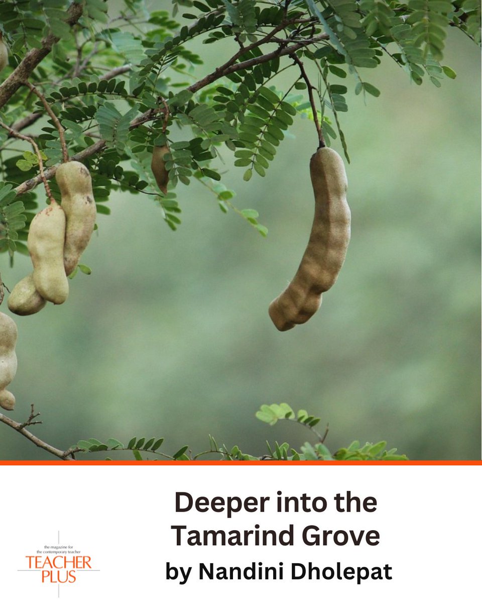 Nandini Dholepat takes students beyond the classroom into Kodagu’s sacred groves, where they uncover the rich biodiversity of their surroundings.

Read here: bit.ly/4pq0bE4

#TeacherPlus #EnvironmentalEducation #Biodiversity #OutdoorLearning #Sustainability