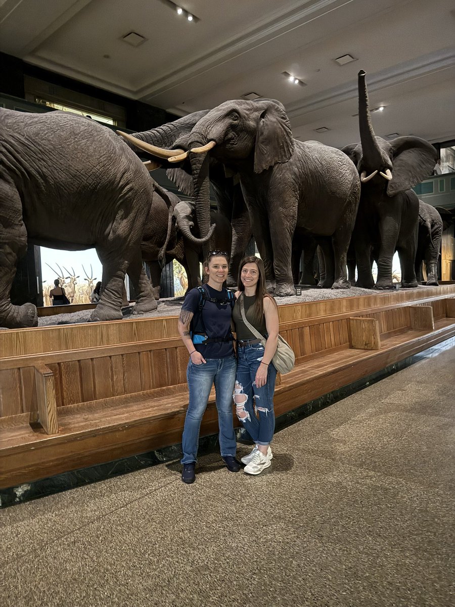 LadyApache94 tweet media